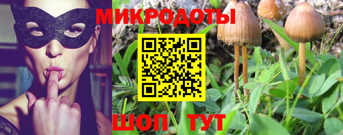 Галлюциногенные грибы прущие грибы Ревда
